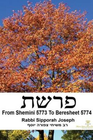 Cover of From Shemini 5773 to Beresheet 5774