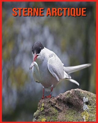 Book cover for Sterne Arctique