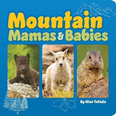 Book cover for Mountain Mamas and Babies