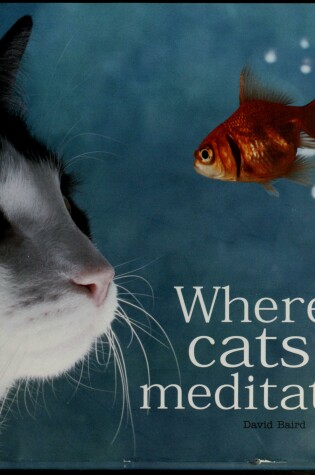 Cover of Where Cats Meditate