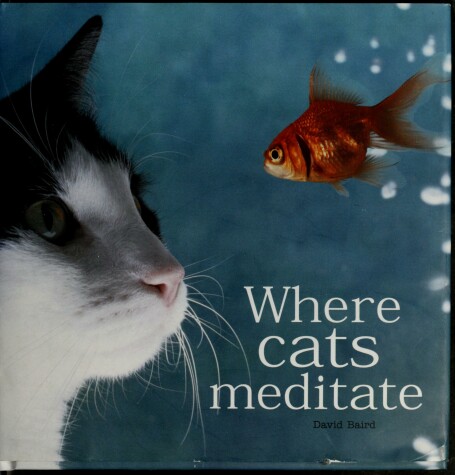 Book cover for Where Cats Meditate