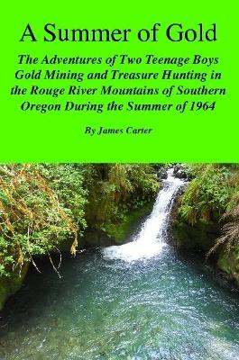Book cover for A Summer of Gold