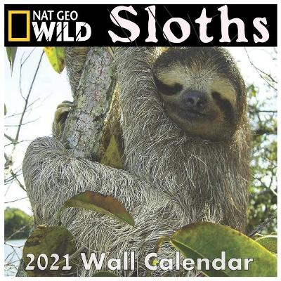 Book cover for Sloths Calendar 2021