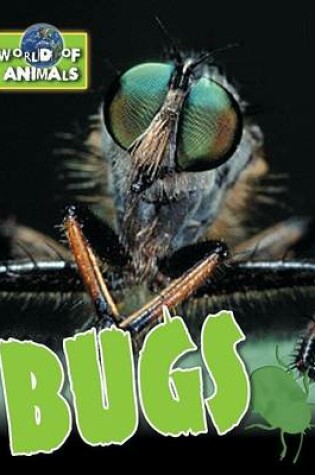 Cover of Bugs