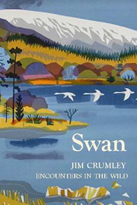 Book cover for Swan