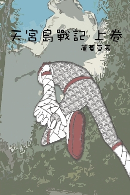 Book cover for &#22825;&#23470;&#23798;&#25136;&#35352; &#19978;&#21367;