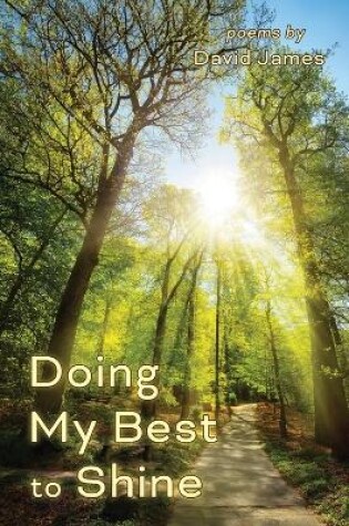 Cover of Doing My Best to Shine