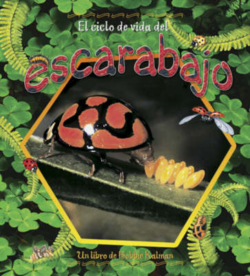 Book cover for El Ciclo de Vida del Escarabajo