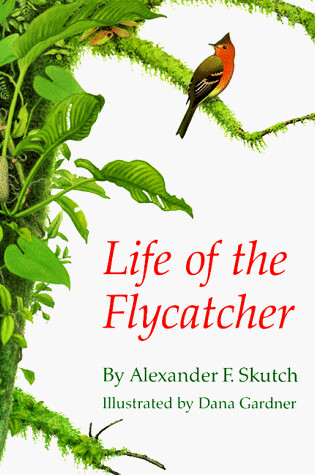 Cover of Life of the Flycatcher