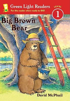 Cover of Big Brown Bear
