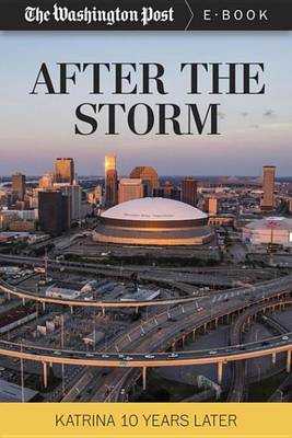 Book cover for After the Storm