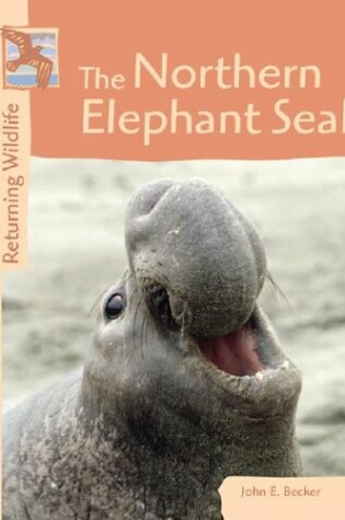 Cover of The Northern Elephant Seal