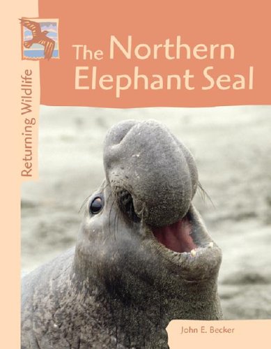Book cover for The Northern Elephant Seal