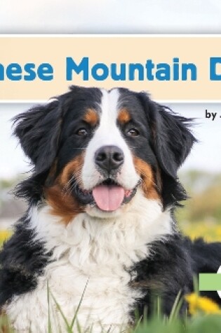 Cover of Bernese Mountain Dogs