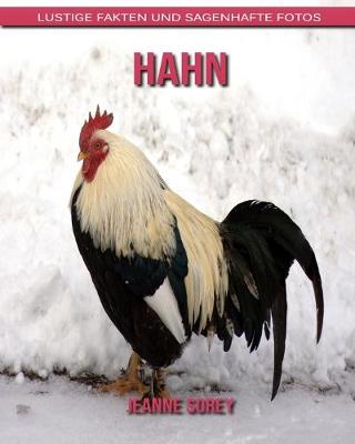 Book cover for Hahn