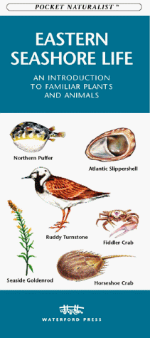Book cover for Eastern Seashore Life