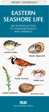 Cover of Eastern Seashore Life