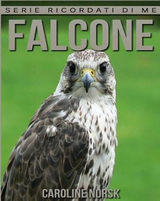 Book cover for Falcone