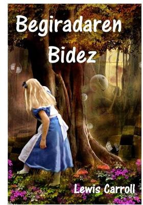 Book cover for Begiradaren Bidez