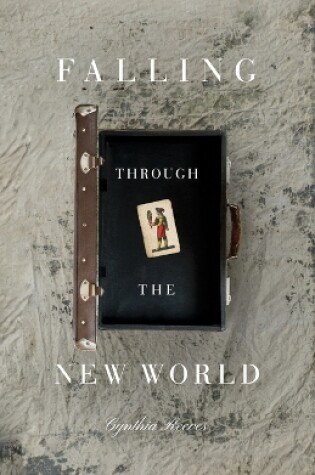 Cover of Falling Through the New World