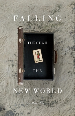 Book cover for Falling Through the New World