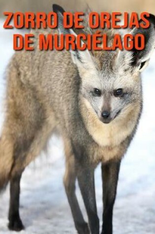 Cover of Zorro de orejas de murciélago