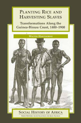 Book cover for Planting Rice and Harvesting Slaves