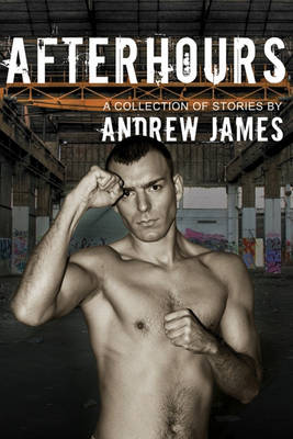 Book cover for Afterhours