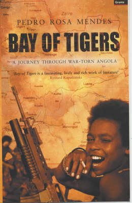 Book cover for Bay of Tigers