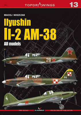 Book cover for Iiyushin II-2 am-8