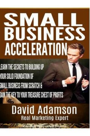 Cover of Small Business Acceleration