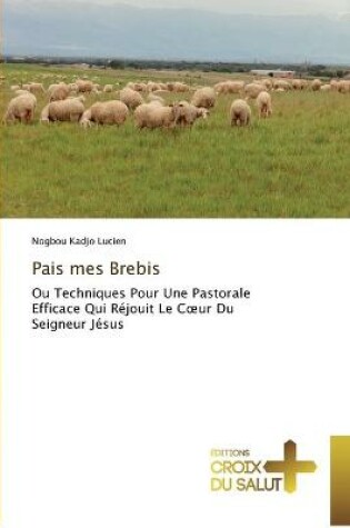 Cover of Pais mes Brebis