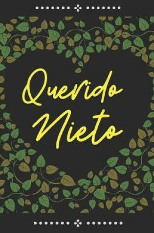 Cover of Querido nieto