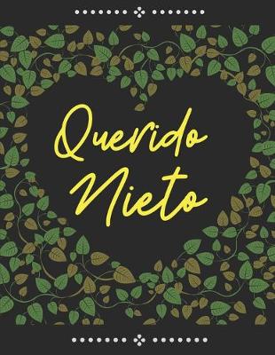 Book cover for Querido nieto