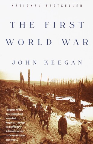 Book cover for The First World War