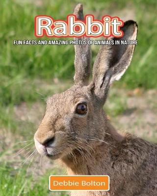 Book cover for Rabbit