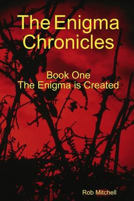 Book cover for The Enigma Chronicles: Book One the Enigma is Created