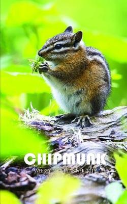 Book cover for Chipmunk Weekly 5 X 8 Planner 2019