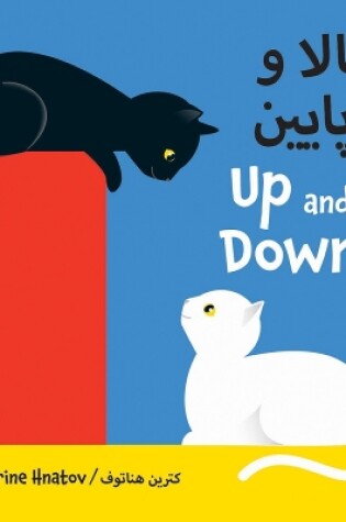 Cover of Up and Down (Dari/English)