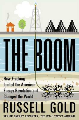 Book cover for The Boom