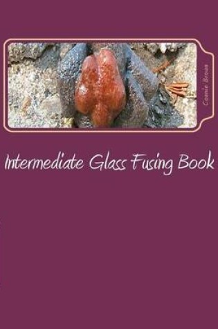 Cover of Intermediate Glass Fusing Book