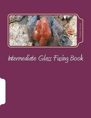 Cover of Intermediate Glass Fusing Book