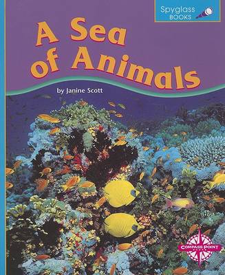 Book cover for A Sea of Animals