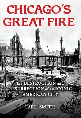 Book cover for Chicago's Great Fire