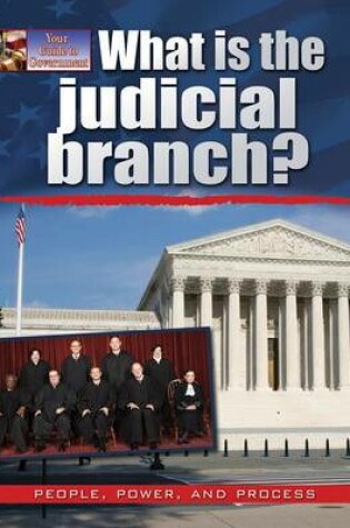 Cover of What Is the Judicial Branch?