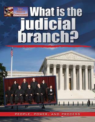 Cover of What Is the Judicial Branch?