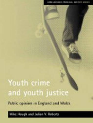 Book cover for Youth crime and youth justice