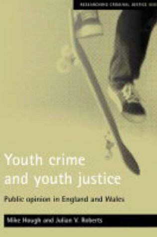 Cover of Youth crime and youth justice