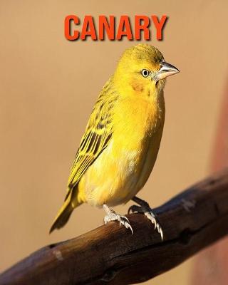 Book cover for Canary