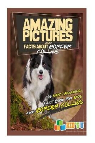 Cover of Amazing Pictures and Facts about Border Collies